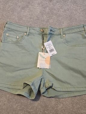Thread & Supply Light Sage Green Jean Shorts